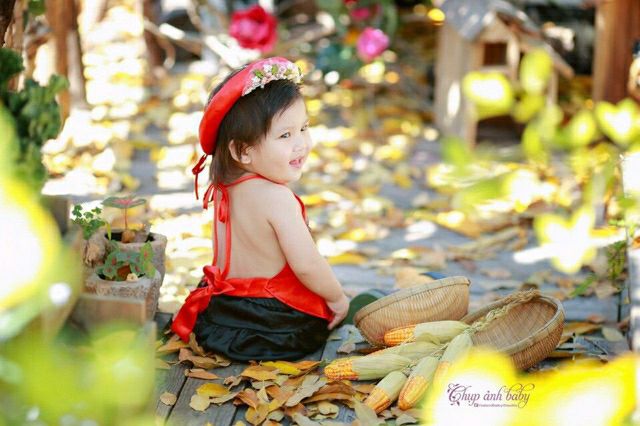 SET YẾM ĐÀO CÔ TẤM CHO BÉ GÁI
