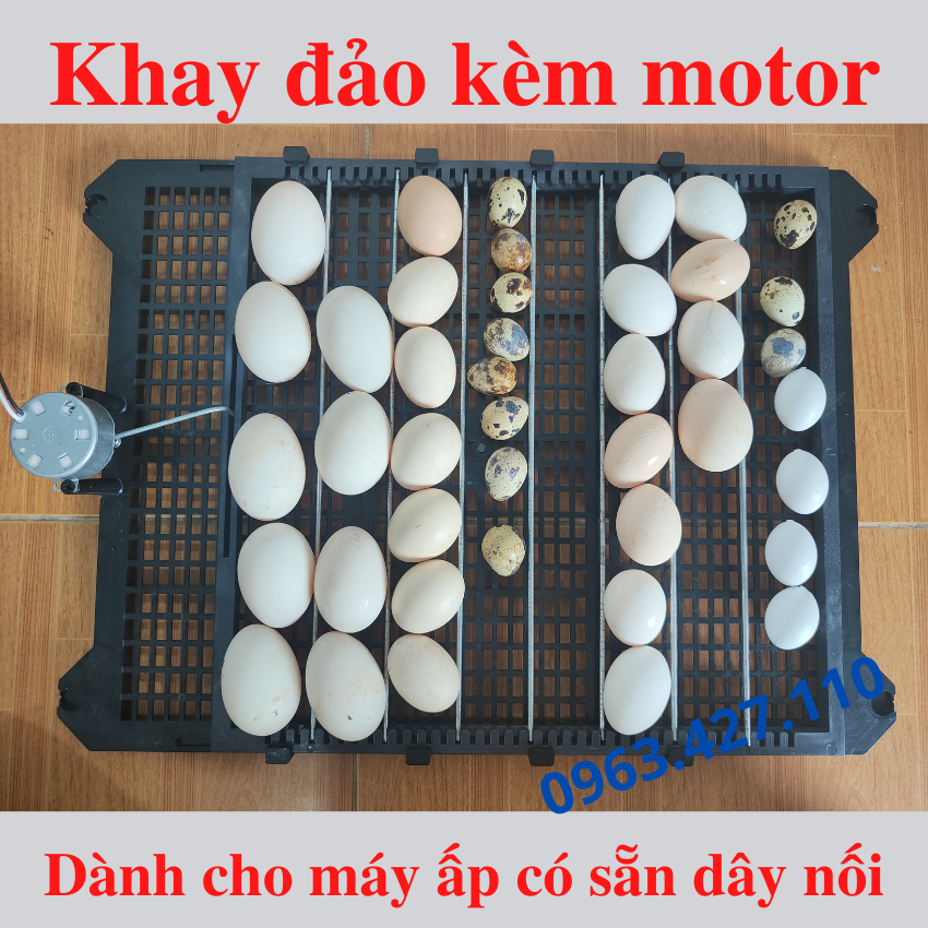 Khay đảo trứng gà vịt mới nhất
