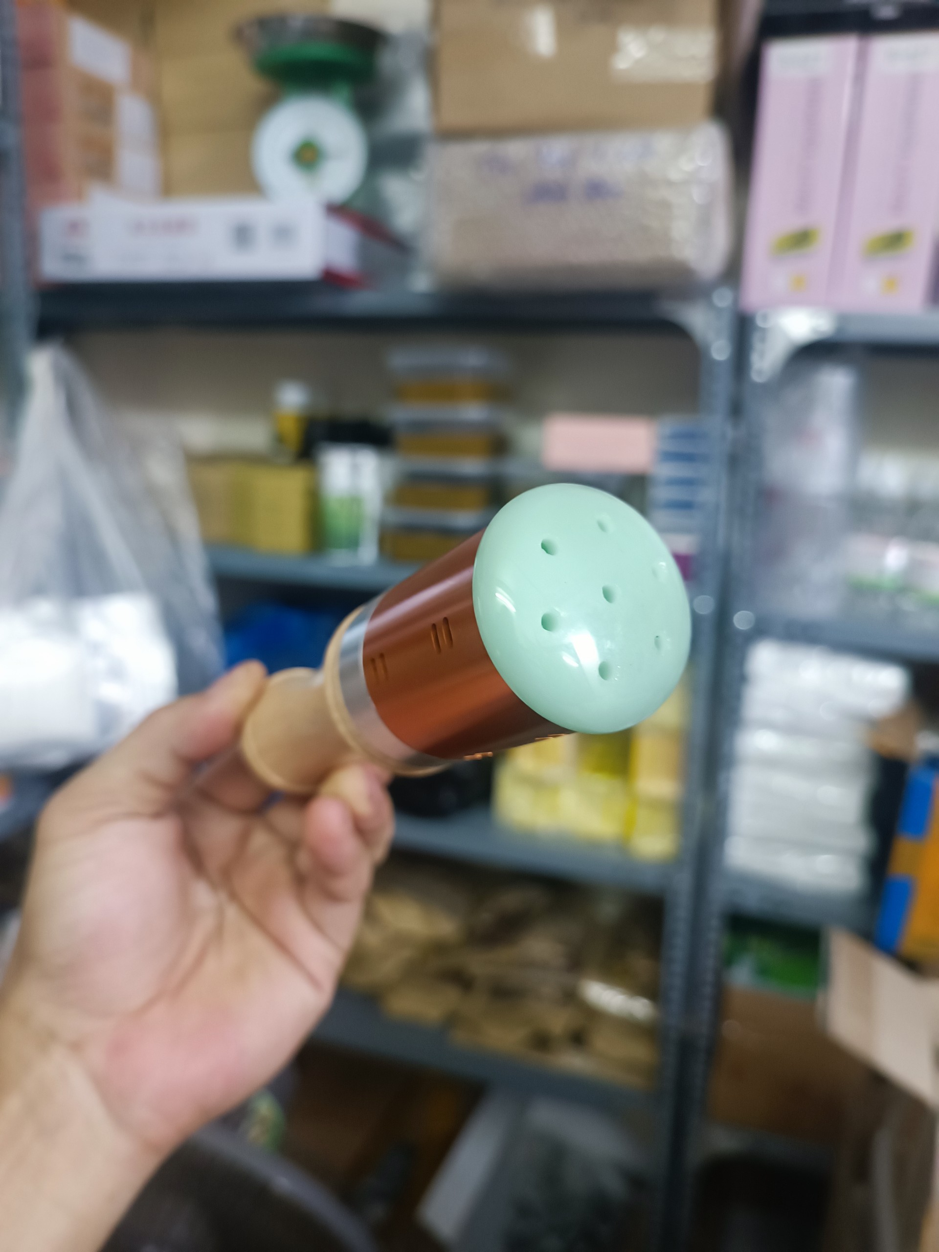 Thanh lăn ngải ngọc bích cây lăn ngải ngọc bích