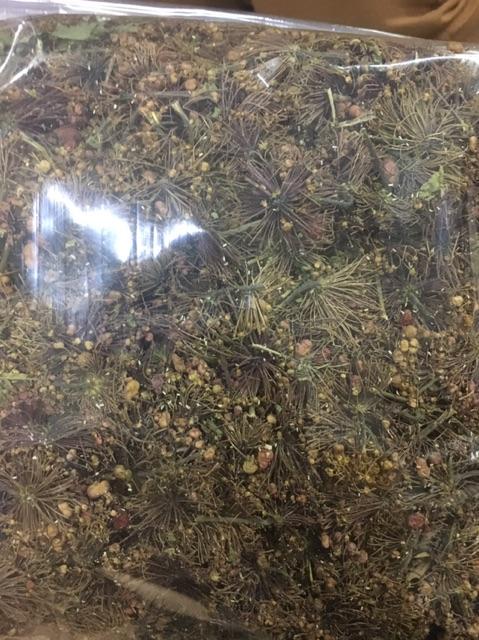 1kg Hoa Tam Thất bắc sạch rẻ