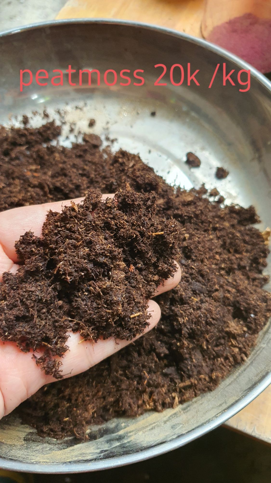 1kg Peatmoss Rêu mục Than bùn ( Peatman )