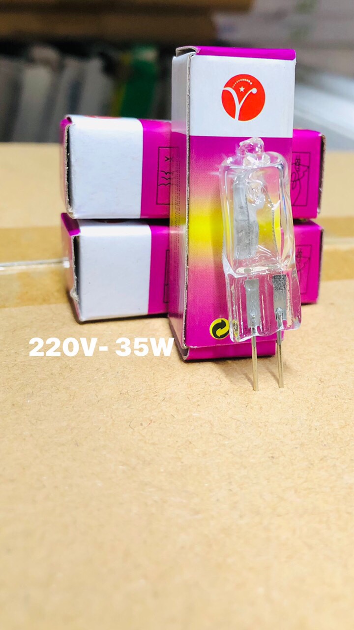 ComBo 10 Bóng Ghim 220V 35W