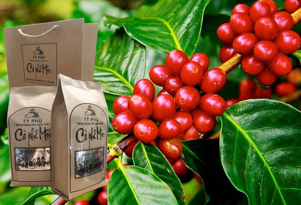 Cà Phê Mộc - Vip 1 (500g)
