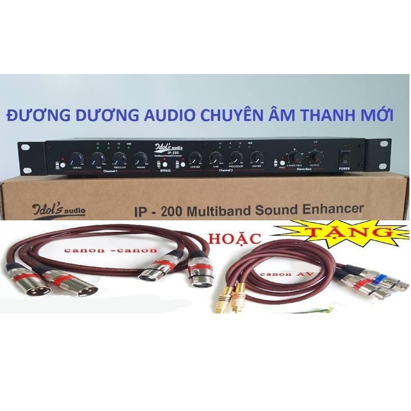 Máy nâng tiếng karaoke IDOL IP 200 chuyên nghiệp