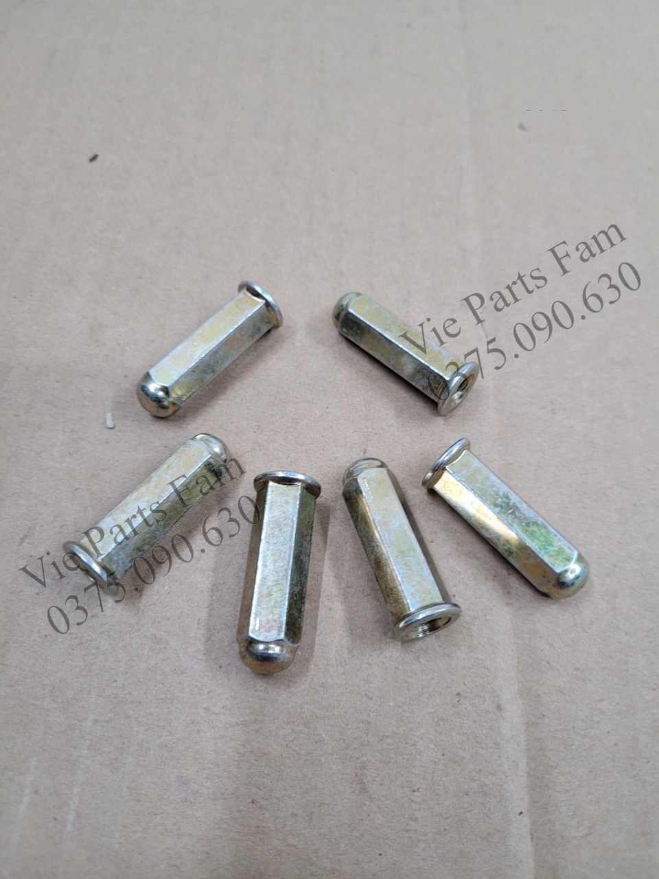 Ốc cổ bô Attila SYM (giá 1 con)