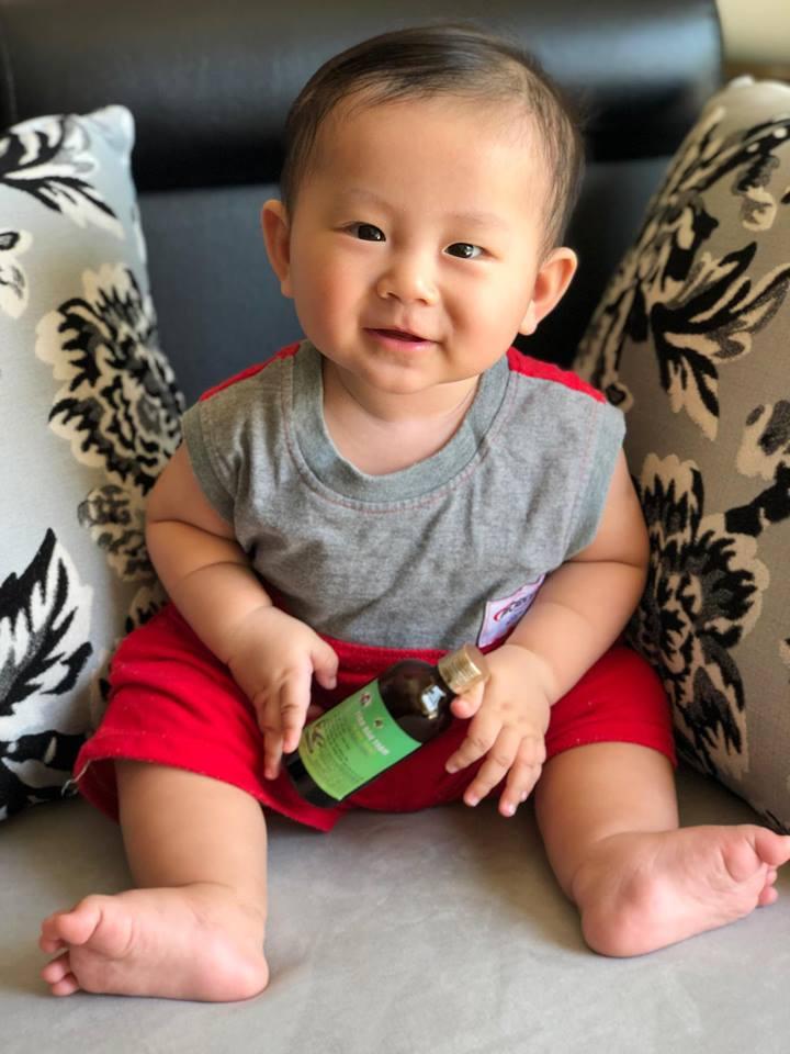 TINH DẦU TRÀM NGUYÊN CHẤT TRẦN MAO
