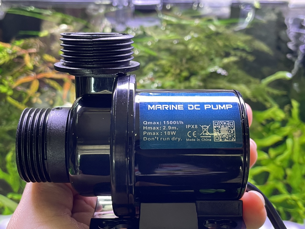 MÁY BƠM DC 24V MARINE 1000, 1500, 2500, 4000, 6000