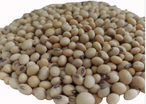 1kg đậu nành