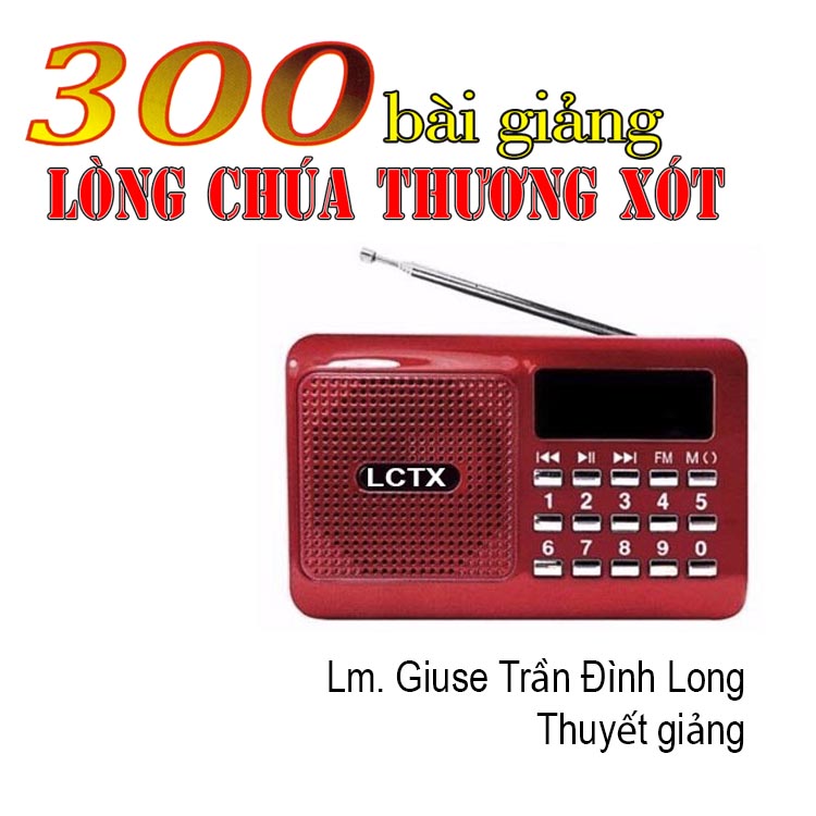 300 Bài giảng Lòng Chúa Thương Xót Giáo Điểm Tin Mừng -quà lưu niệm