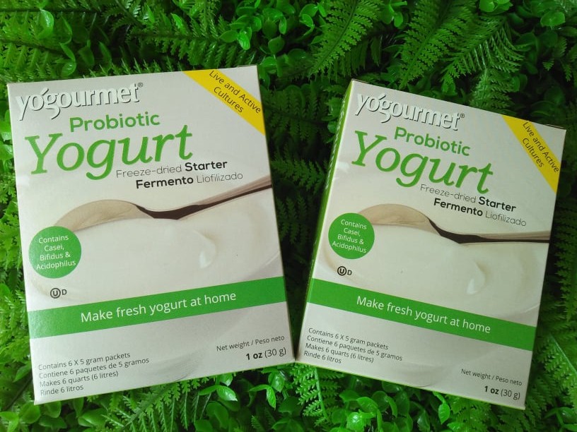 Men làm sữa chua Probiotic