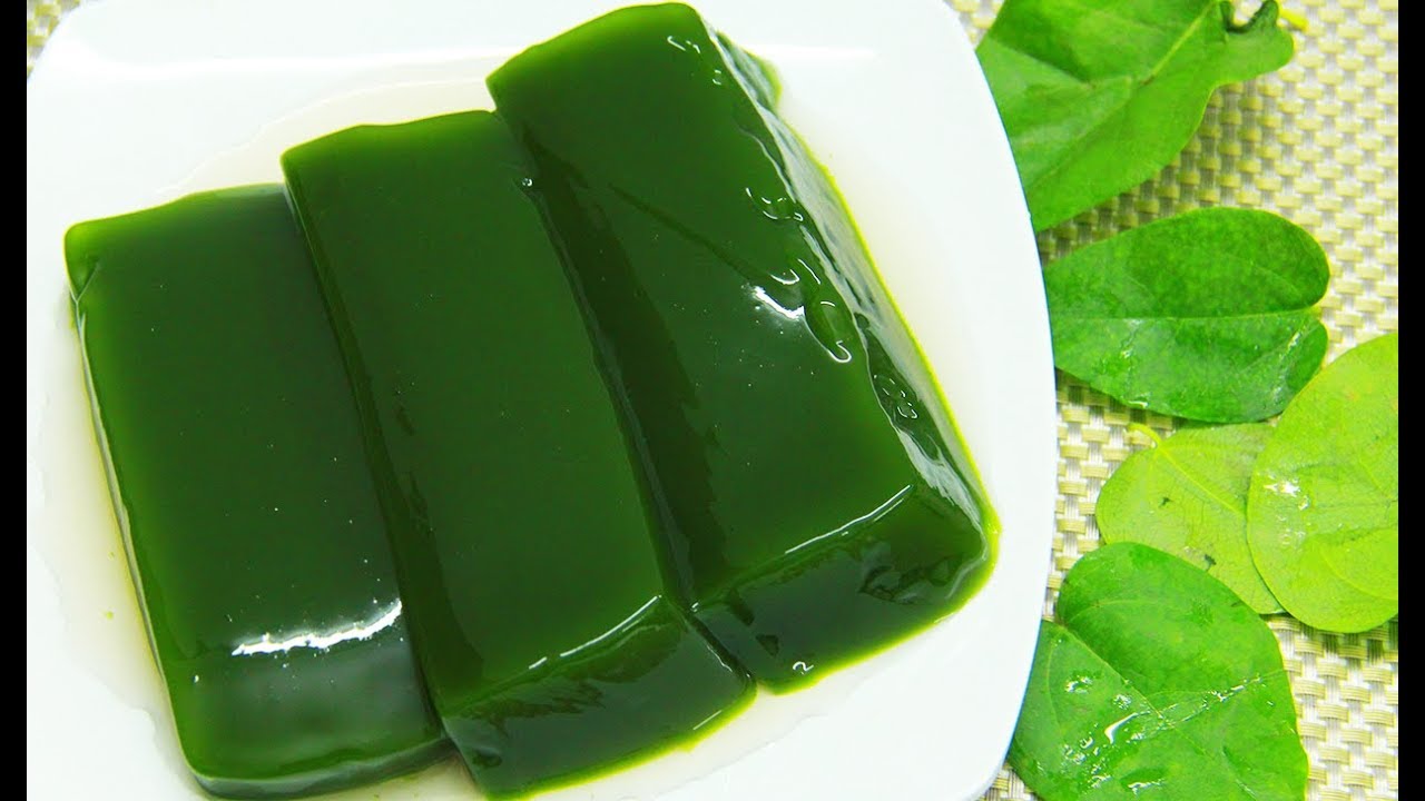 Hạt Giống Sương Sâm Lông Phát Triển Mạnh, Thu Lá Quanh Năm
