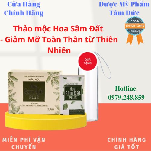 Trà Hoa Sâm Đất Plus (Giảm Cân Cho Cơ Địa Khó Giảm) - 1 Hộp 15 Gói - Mi Phar 1