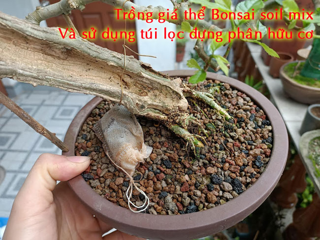 Túi lọc đựng phân 5x7cm (số lượng 100 túi)