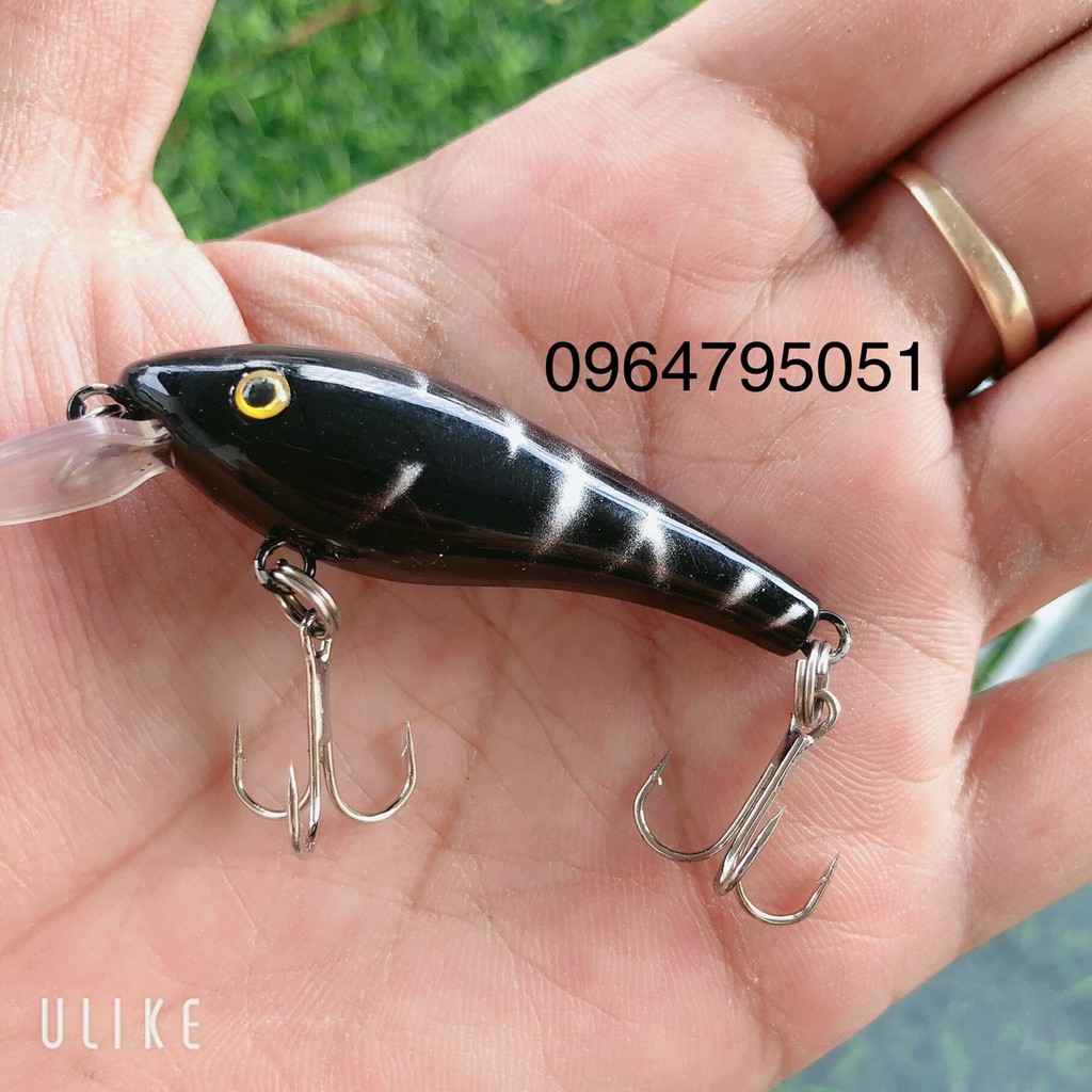 hộp mồi câu lure giả 5 con cá  (cam kết đổi trả trong 2 tuần đầu)