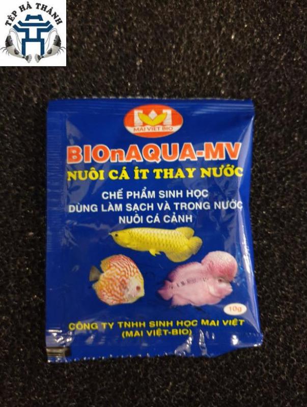 Men Vi Sinh Mai Việt 10g làm sạch nước