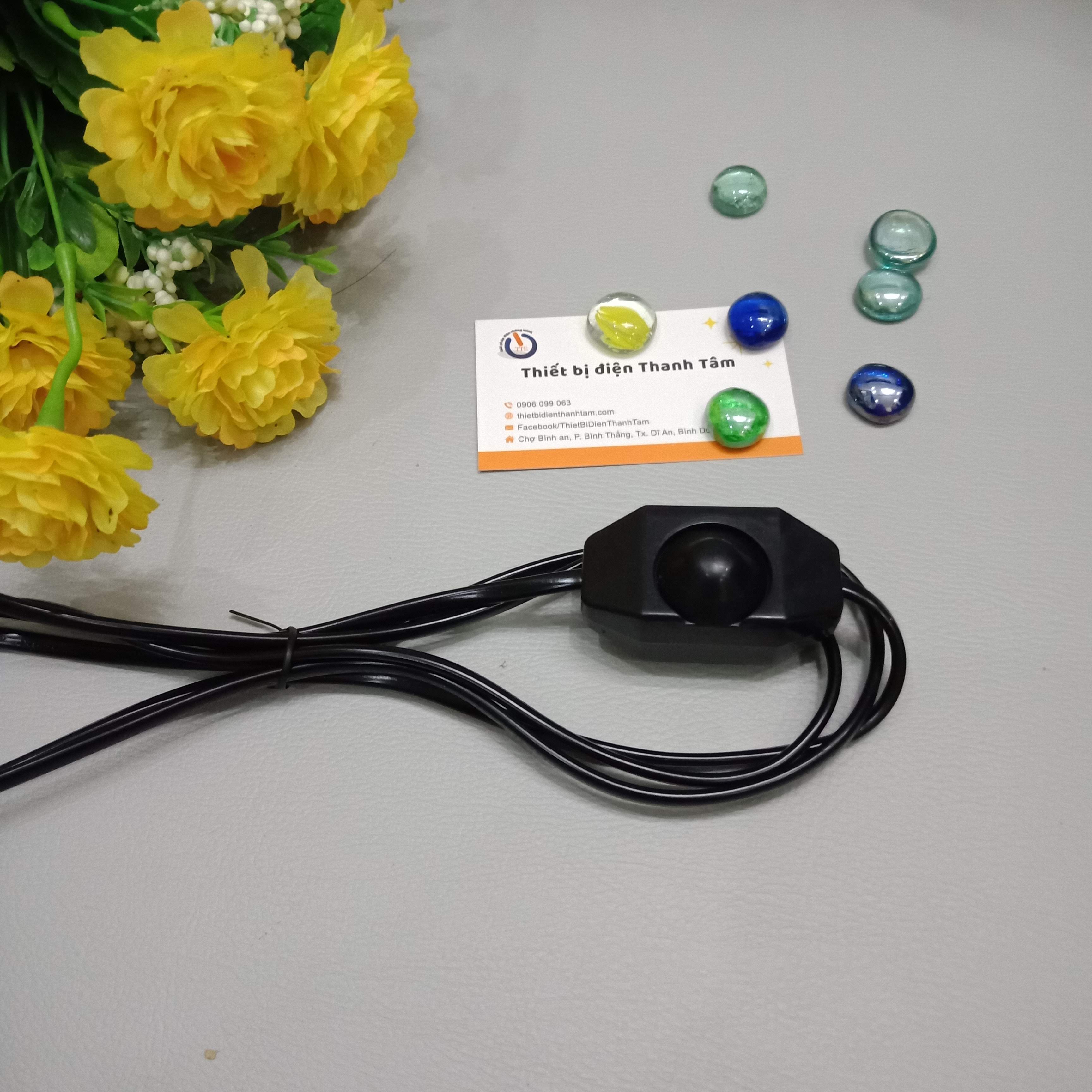 Dây điện chiết áp Dimer đèn dây tóc, phụ kiện thay thế cho đèn xông tinh dầu, có chui cắm