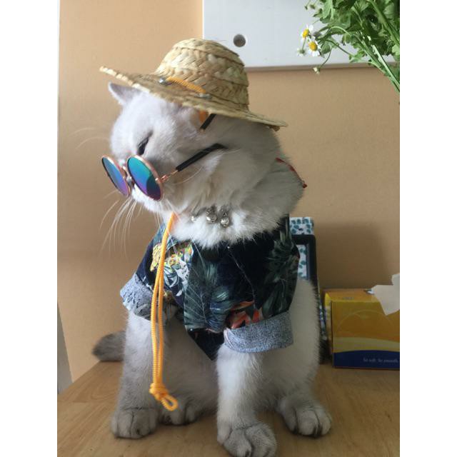 [HCM]Nón Cói Mũ Rơm Đội Đầu Cute Cho Cún Miu