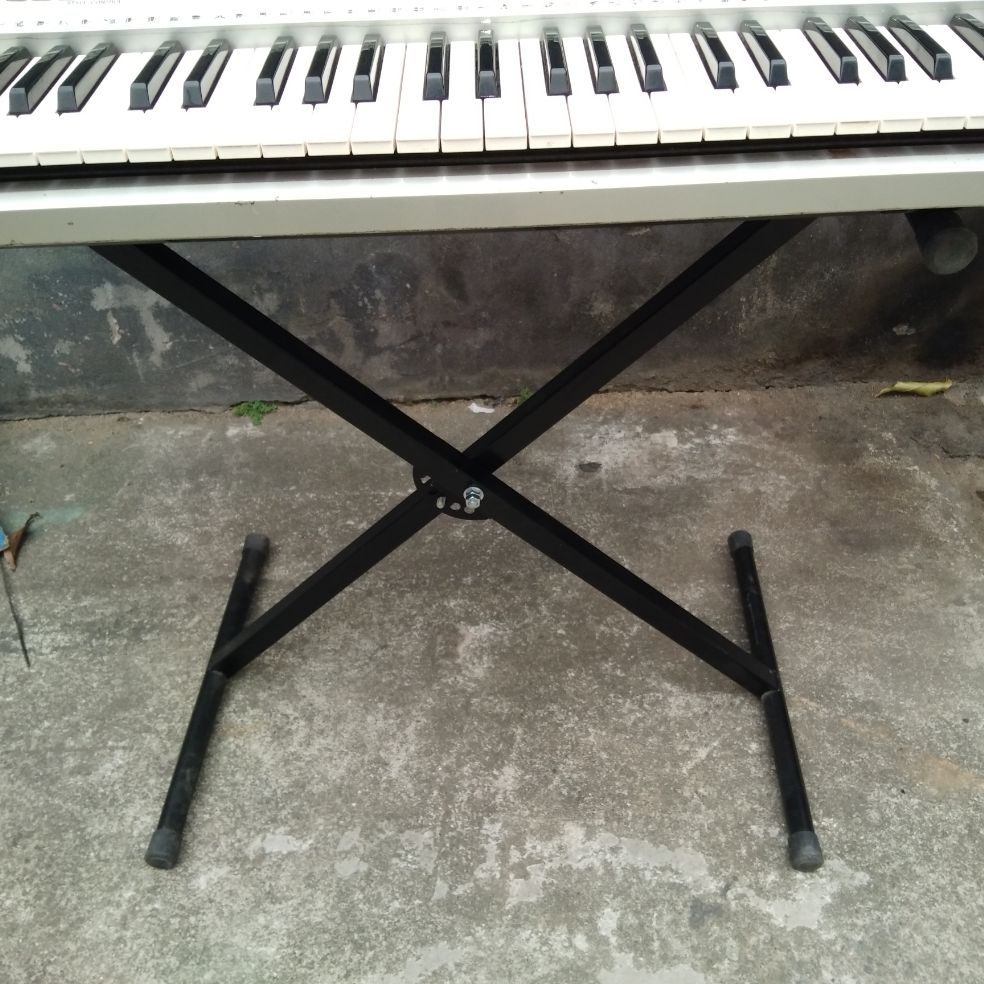 Single Organ Stand