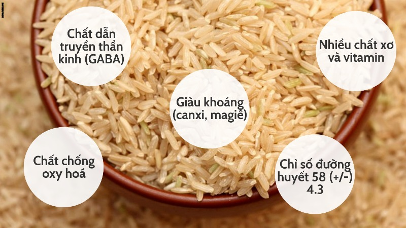 GẠO MẦM VIBIGABA (HỘP 1KG) - MẪU MỚI