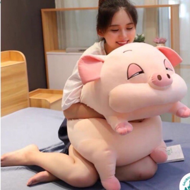Gấu Bông to Gối Ôm Heo Lợn 75cm - 1m
