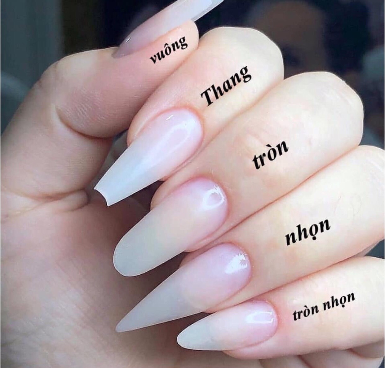 Móng giả thiết kế 🌷🌷🌷 Nailbox - A202