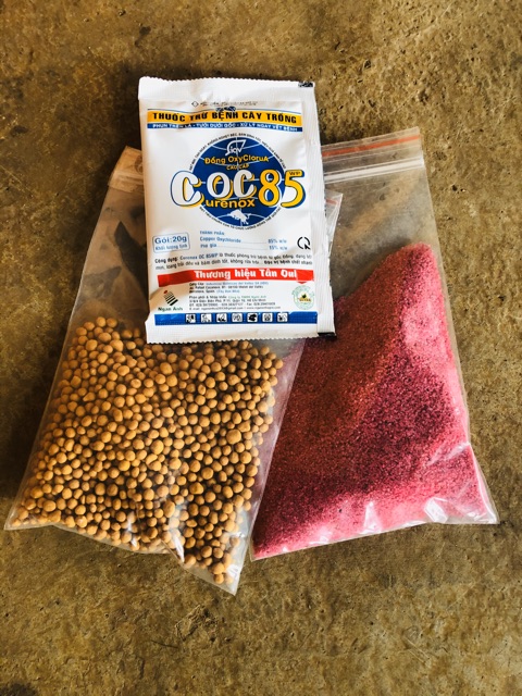 Combo liều thuốc cho sen đá-xương rồng (100gr thuốc tím-100gr phân tan chậm-1 gói  nấm Coc85)