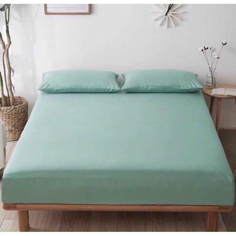 Sét ga gối cotton Tici phong cách hàn Quốc ( ga và 2 vỏ gối Tici )