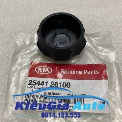 Nắp bình nước phụ Hyundai i20