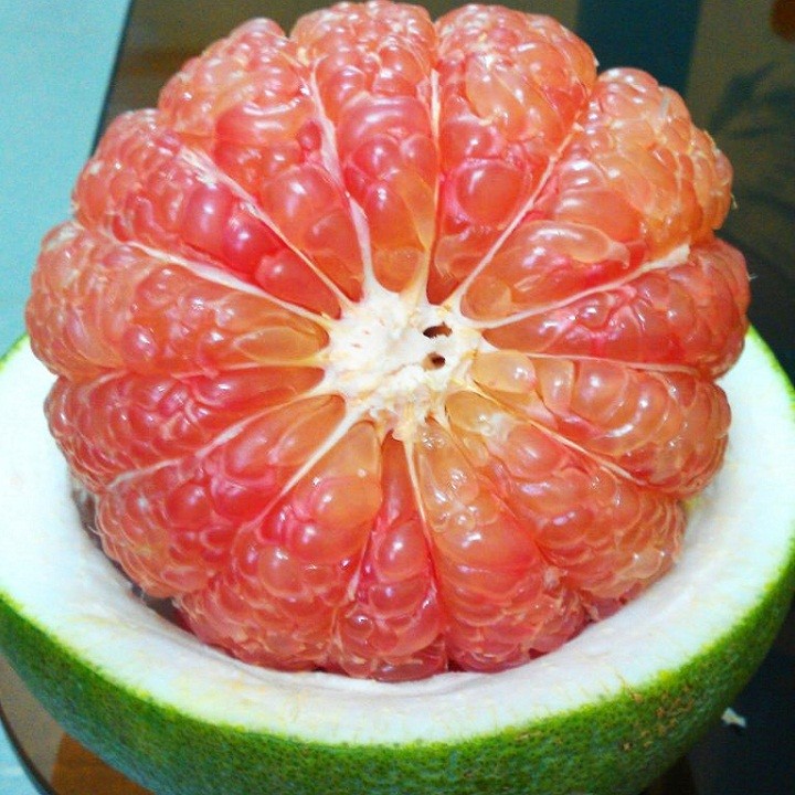 2 cây giống Bưởi da xanh ruột đỏ - C04