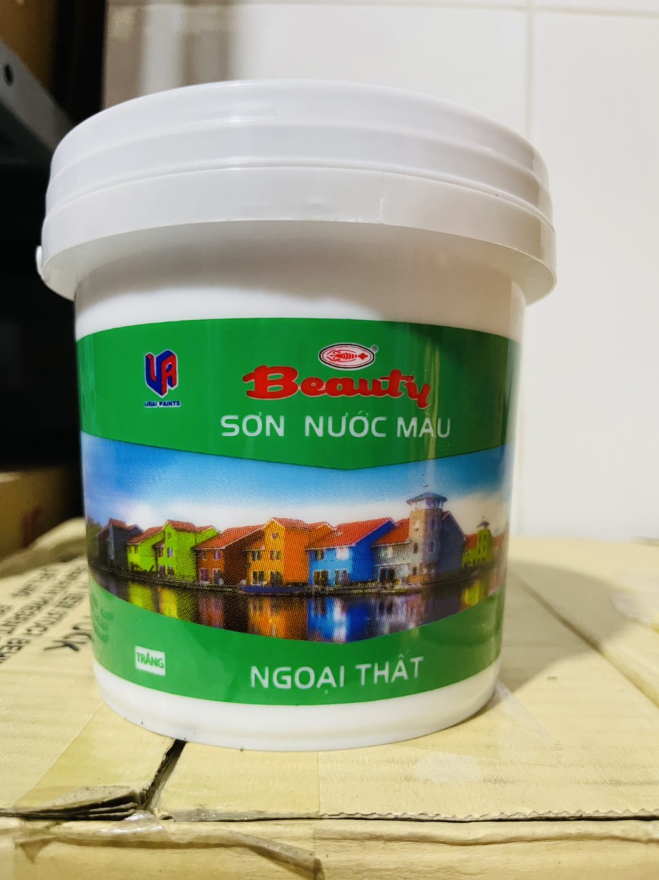 1 Lit Sơn nước ngoại thất Beauty (Sơn nhà - chậu cảnh)