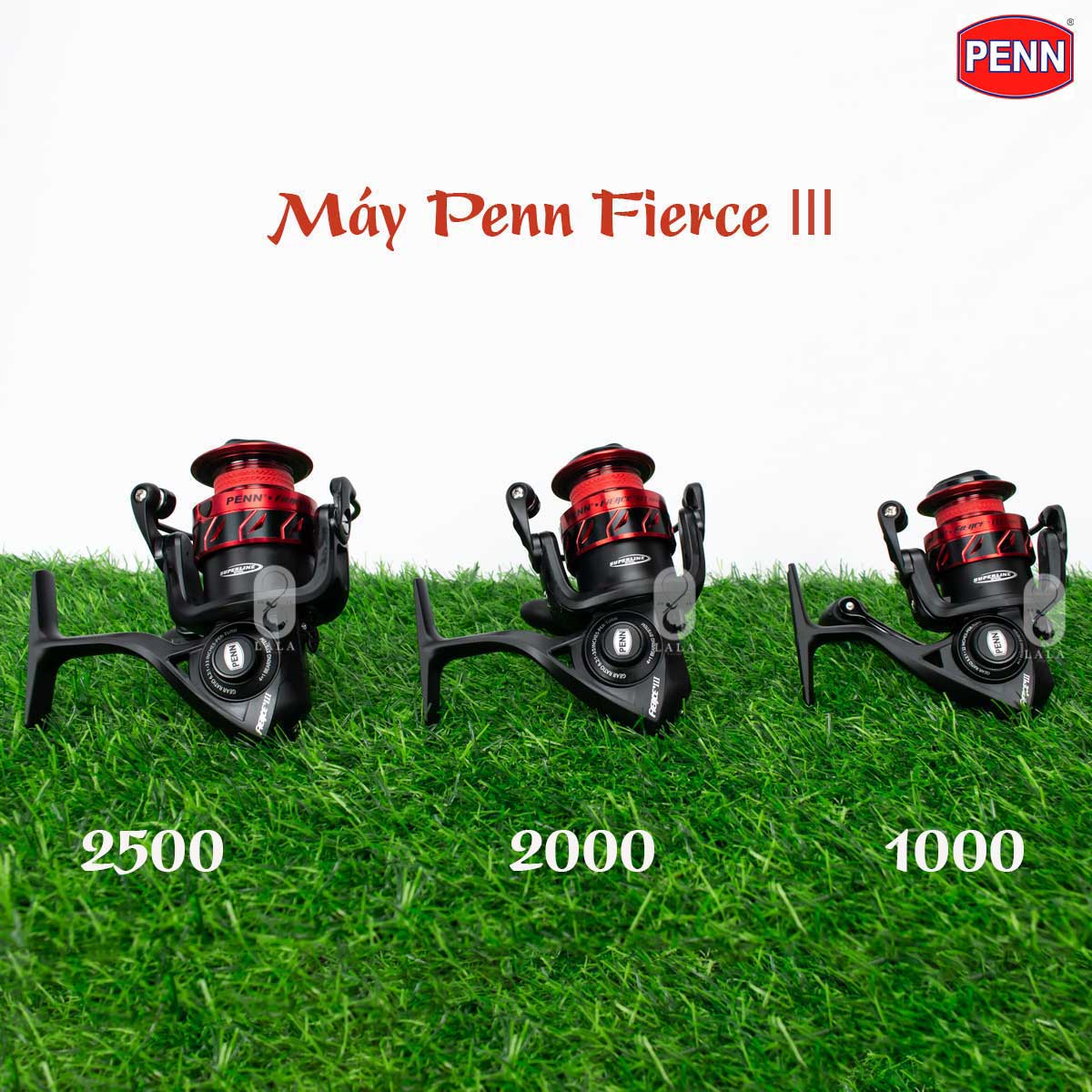 Máy câu cá Penn Fierce III