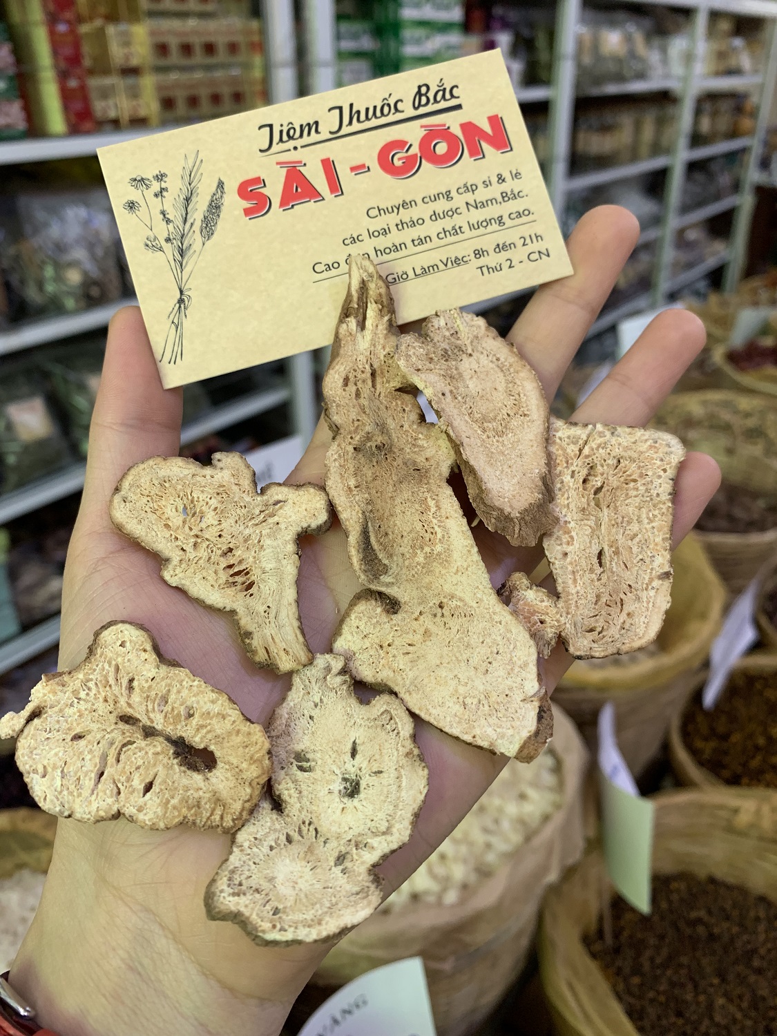 Bạch Truật 500g (Loại Thượng Hạng, Lát Đẹp, Hàng Mới)