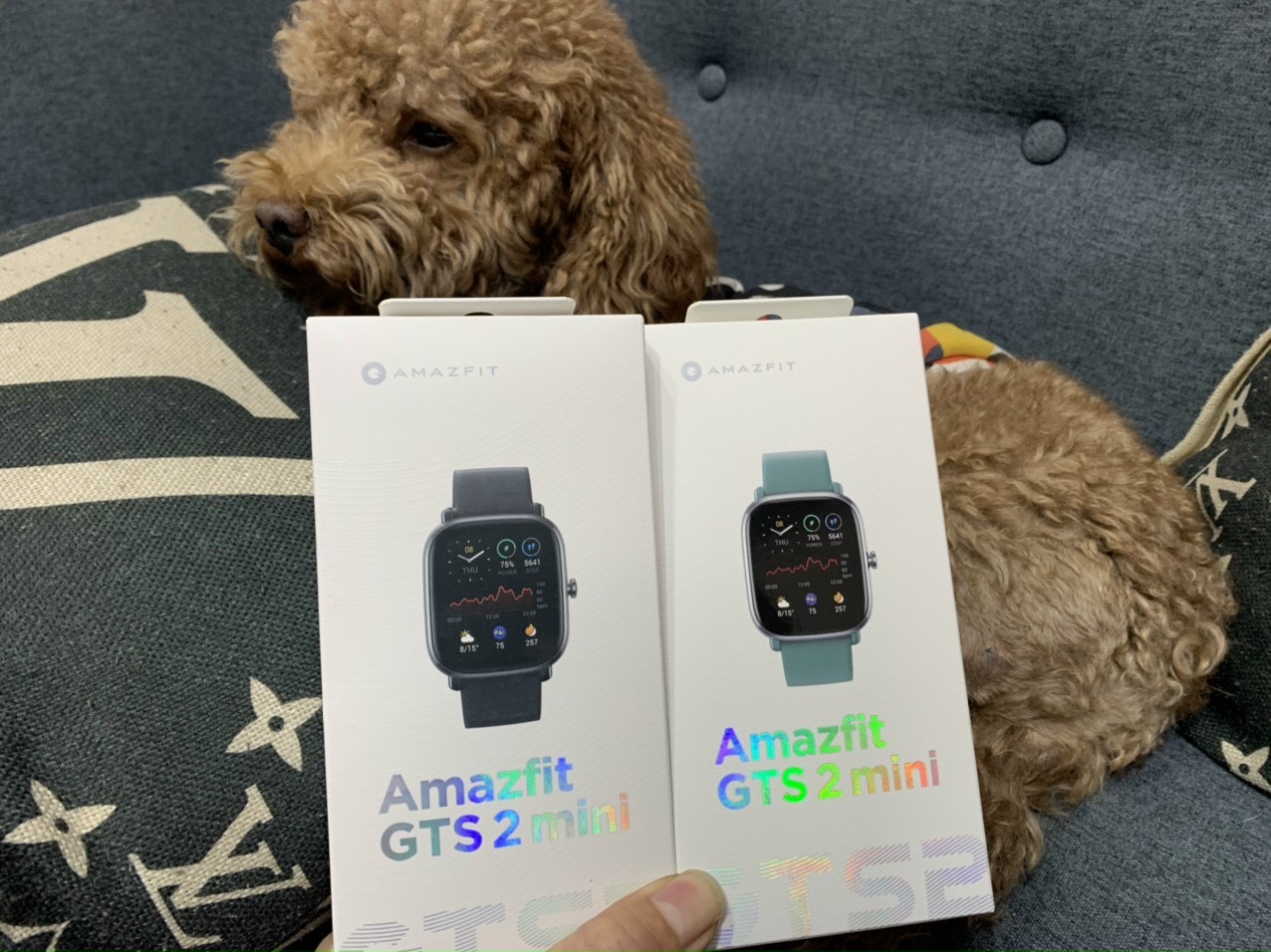 Đồng hồ thông minh AMAZFIT GTS 4(like new fullbox 98%)