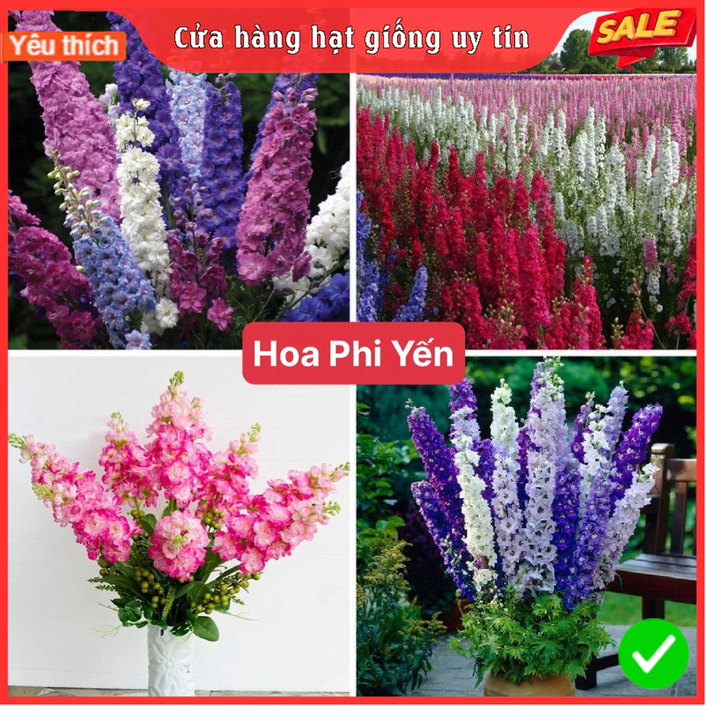 Hạt giống hoa phi yến nhiều màu/gói 50 hạt