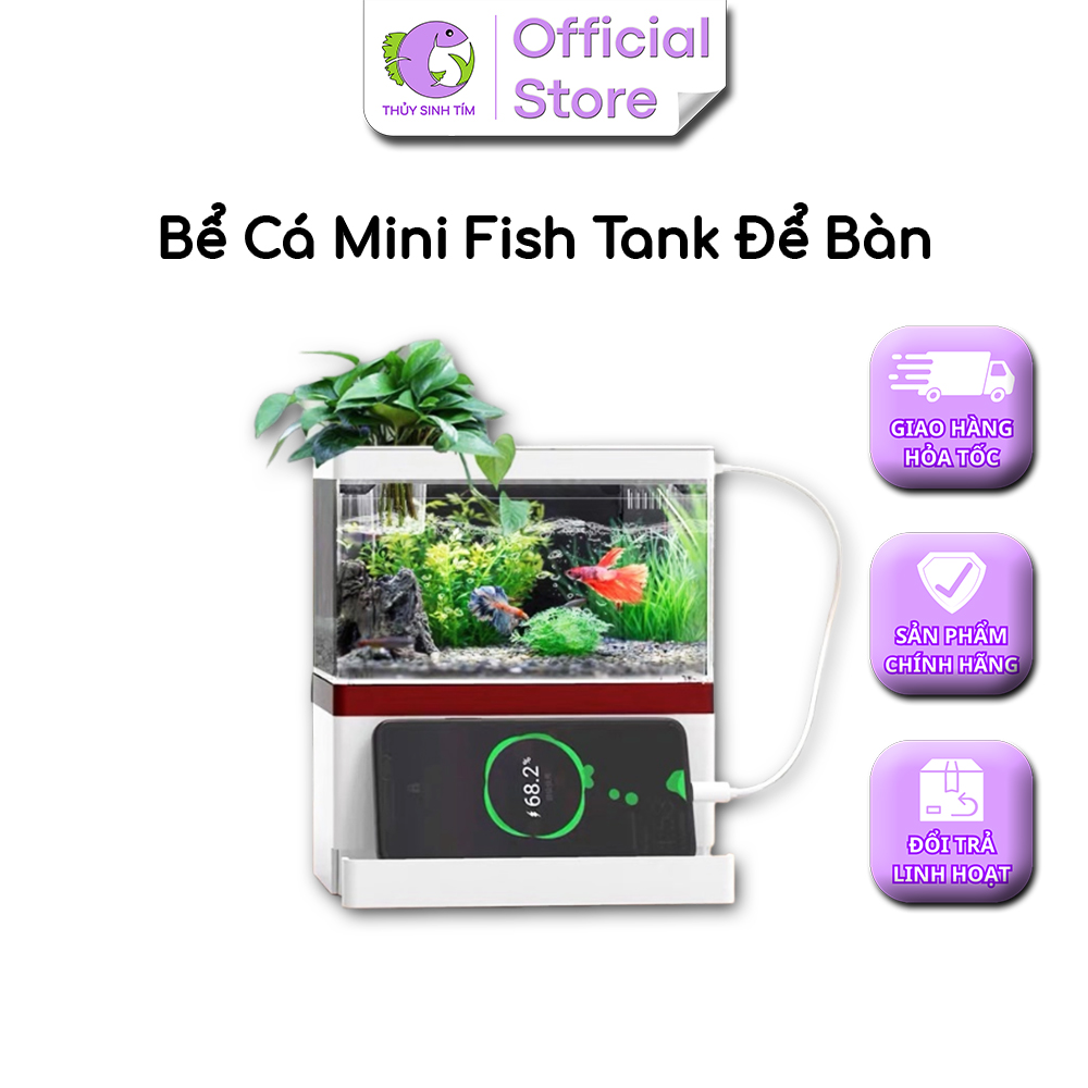 Bể Cá Mini Fish Tank Để Bàn Làm Việc, Bàn Học