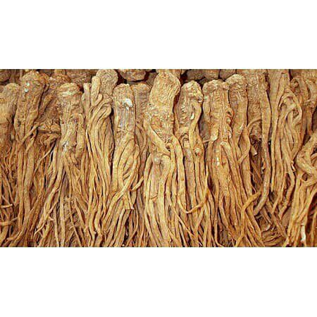 500g sâm quy - sâm đương quy