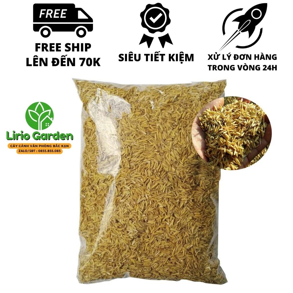 Vỏ trấu khô