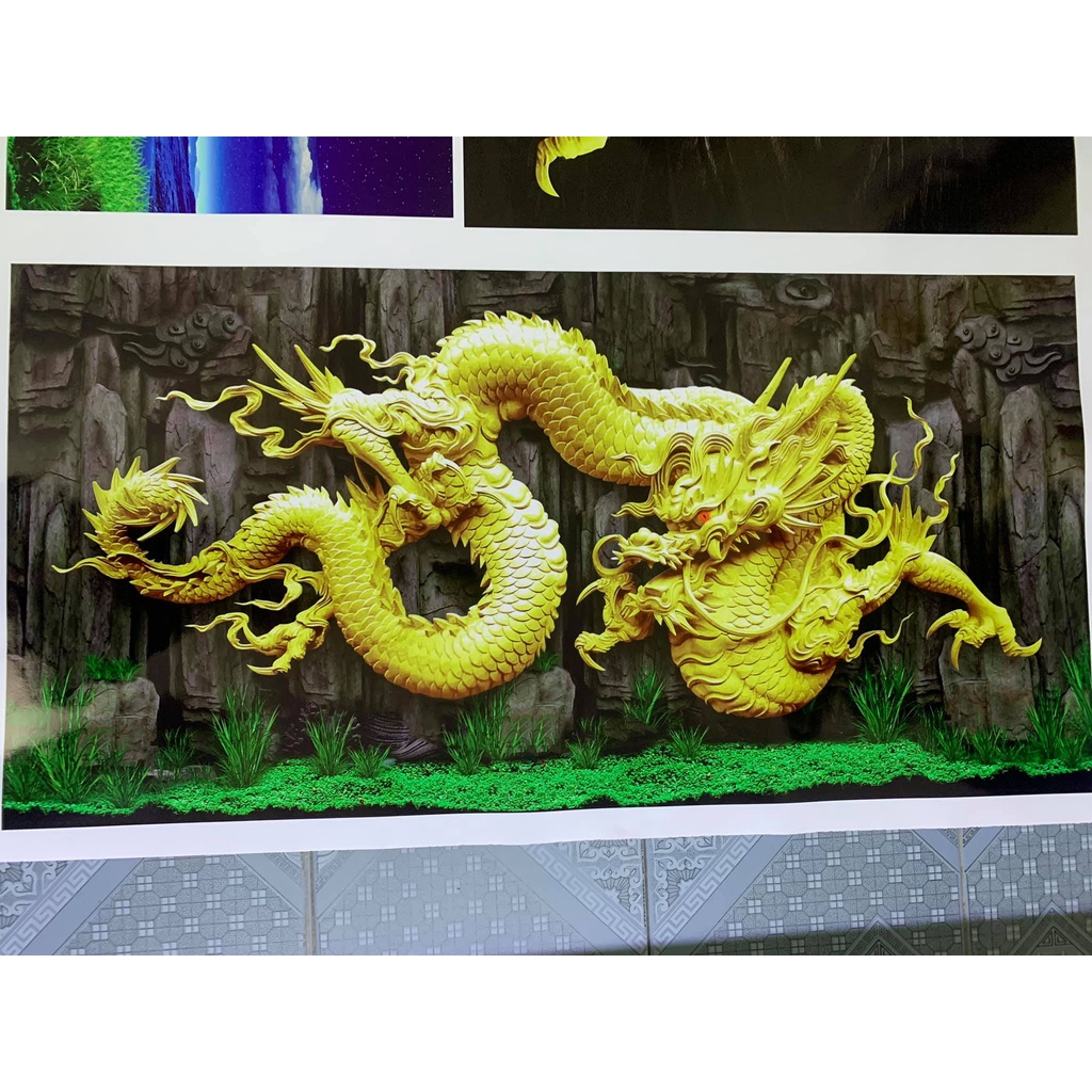 Tranh 3d dán bể cá thủy sinh, bể cá rồng
