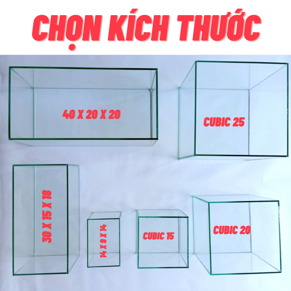 Bể cá mini CHỌN MẪU hồ cá mini để bàn