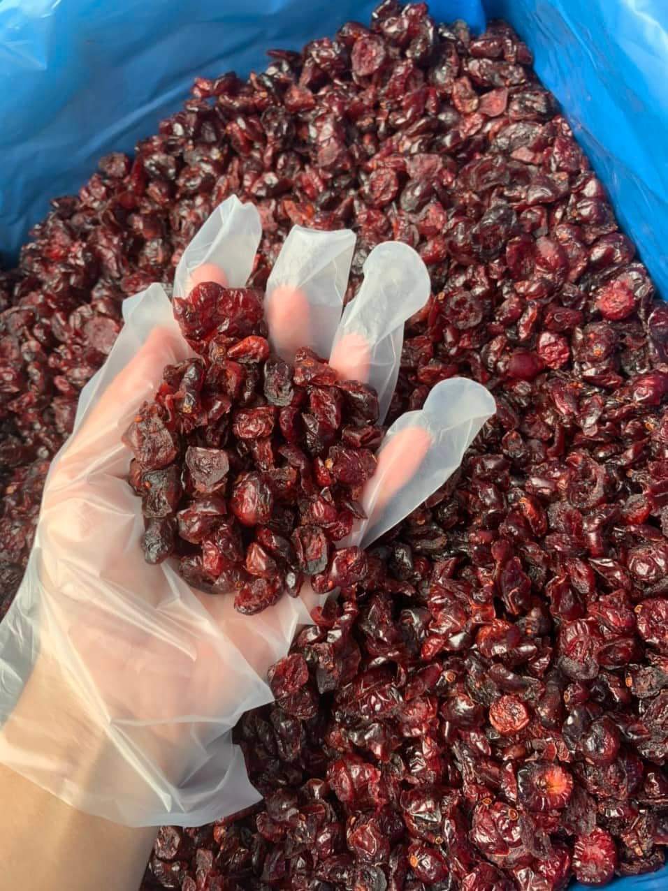 Nam việt quất sấy khô Ocean Spray - 100gr