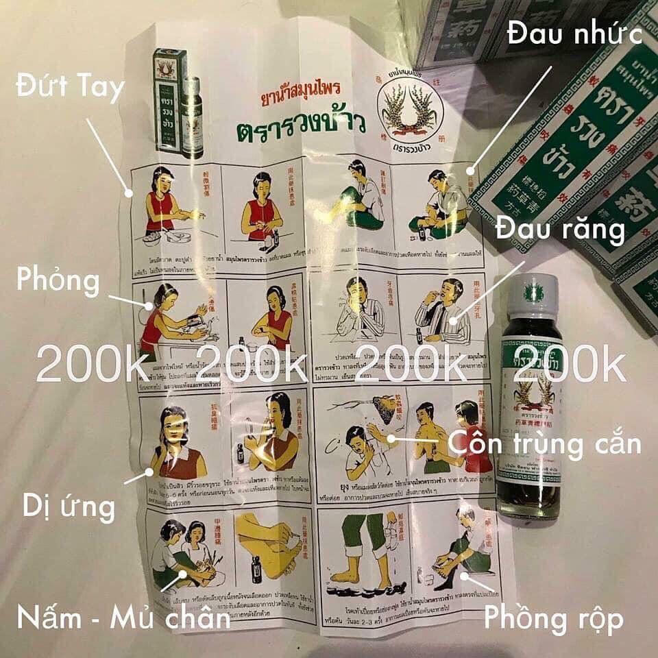 DẦU BÔNG LÚA MINYAK THÁI LAN
