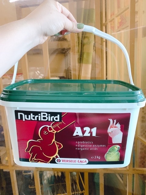 Nutri A21 dành cho chim vẹt non gói 100g