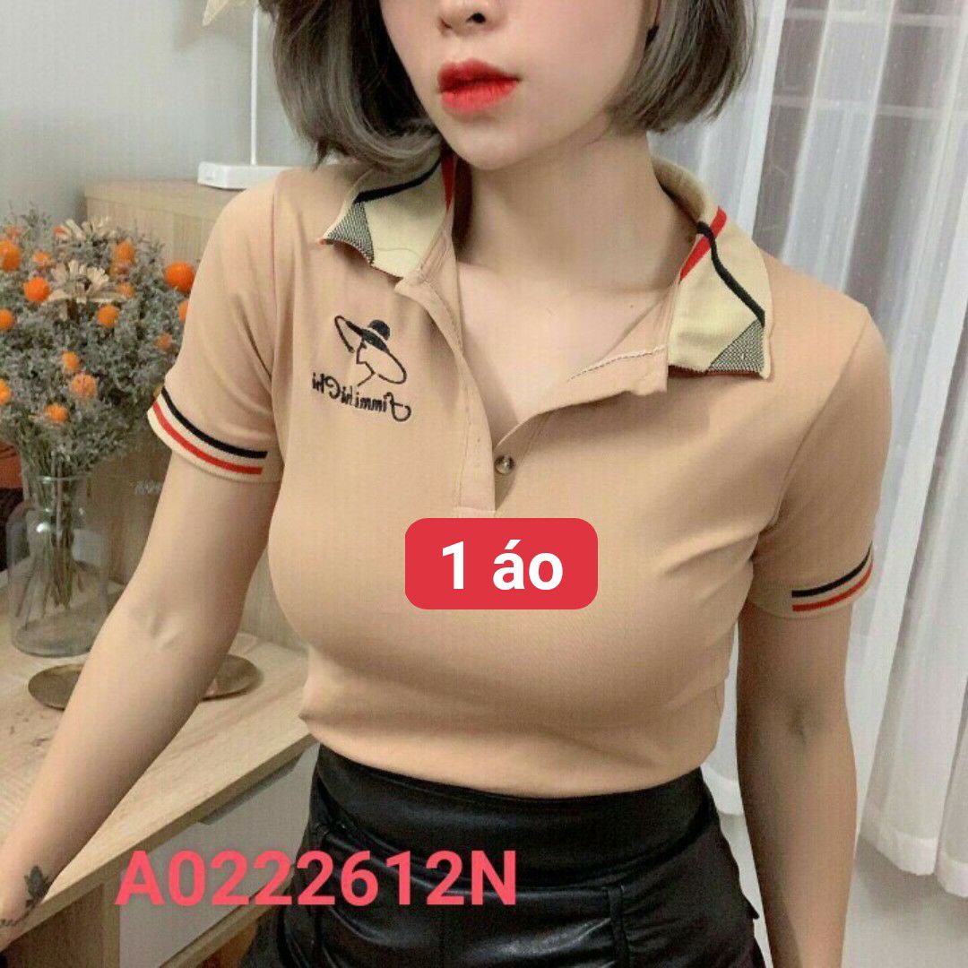 Áo croptop cổ trụ