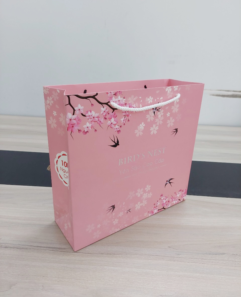 [  GIÁ RẺ] COMBO 10 TÚI -MẪU TÚI ĐỰNG YẾN 100G MÀU SẮC CỰC ĐẸP