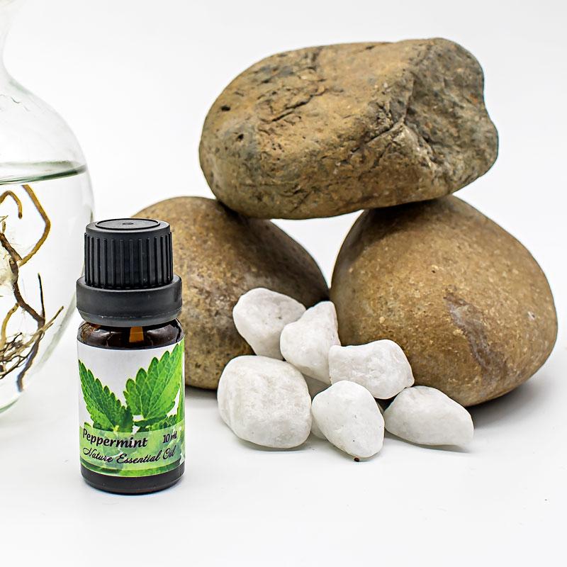 Tinh dầu bạc hà - Peppermint Essential Oil