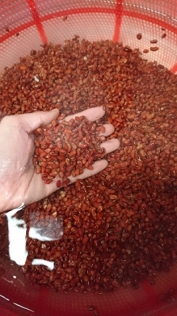 500Gram Bột Đậu Đỏ Handmade Siêu Mịn, Sạch Có atvstp - 250Gram Bột Đậu Đỏ