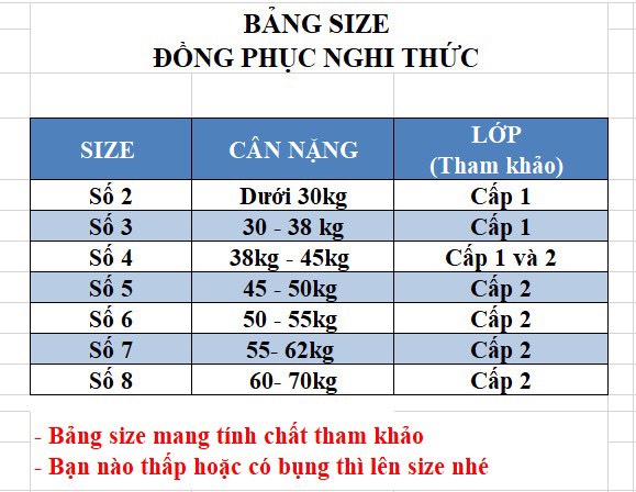 ĐỒNG PHỤC NGHI THỨC VÁY, quần áo nghi thức đội ( áo cộc tay + váy)