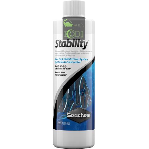 Vi sinh Seachem Stability 100ml