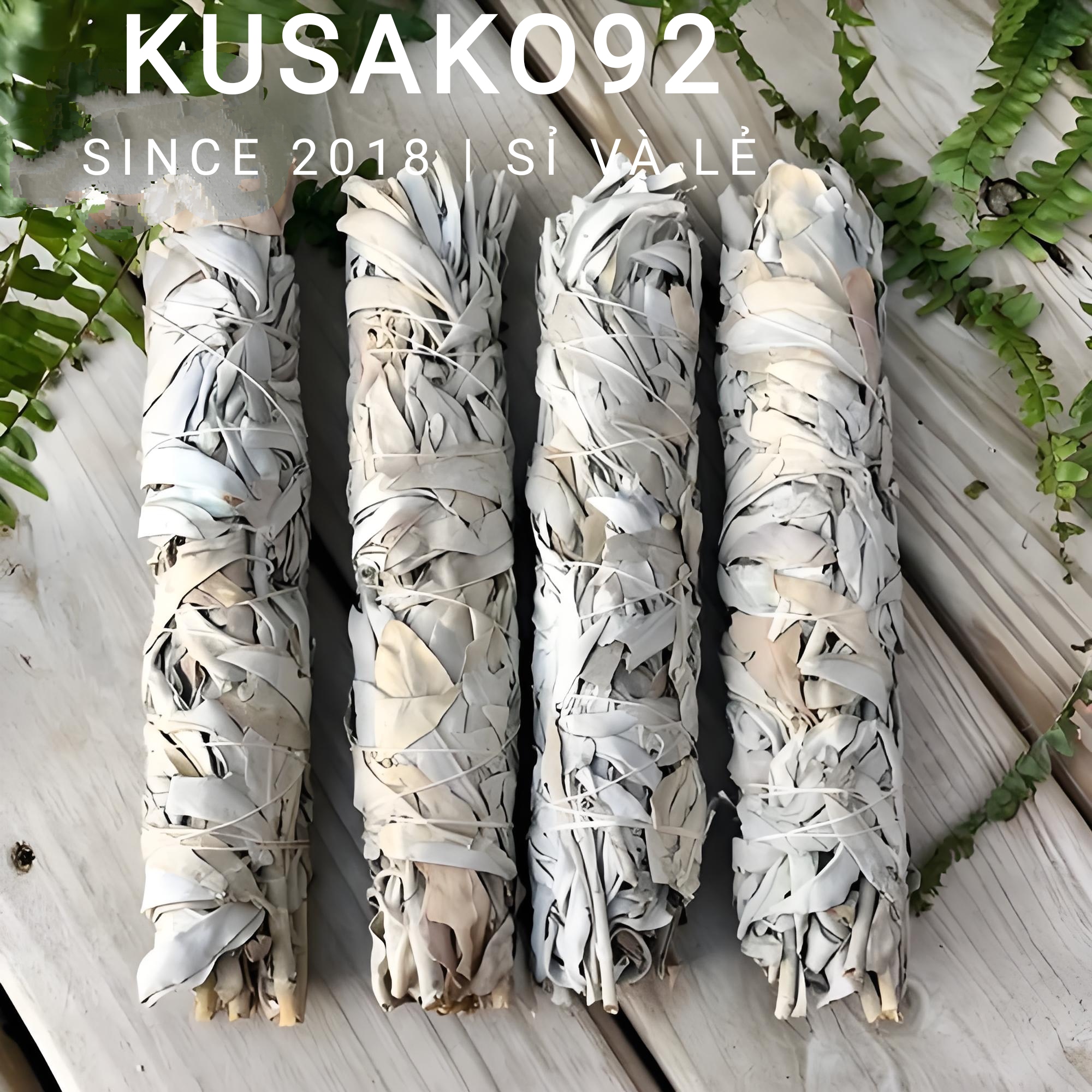 (Sỉ và Lẻ) Bó Xô Thơm Trắng/ White Sage/ Lá Sage Thanh Tẩy Không Gian Kusako92 (chuẩn Nam California)