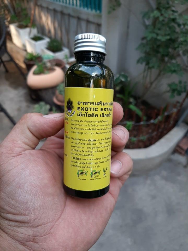 Thuốc kích rễ Exotic ( hàng Thái có hướng dẫn tiếng Việt)